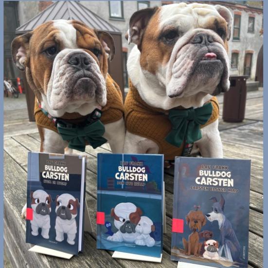 Fotografi af Bulldog Carsten og Walter