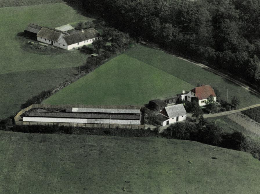 Luftfoto af minkfarm